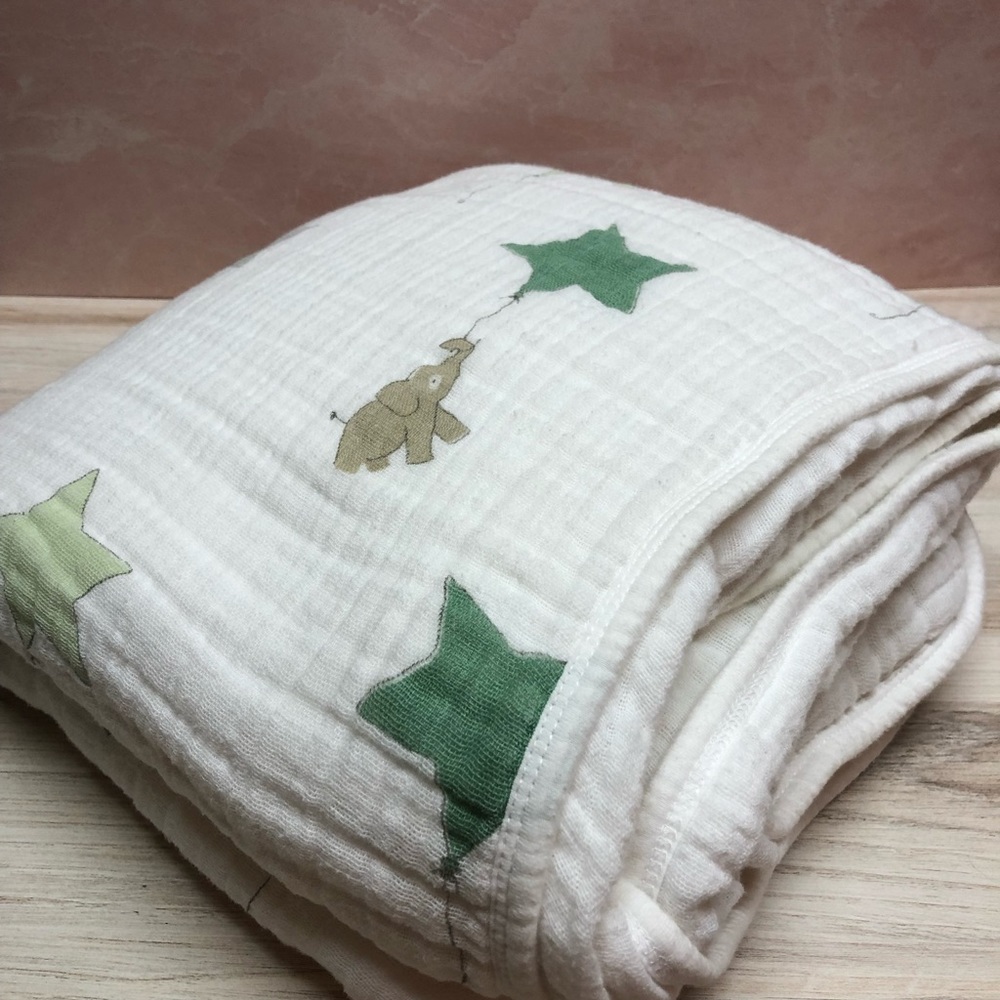 Aden + Anais Dream Blanket